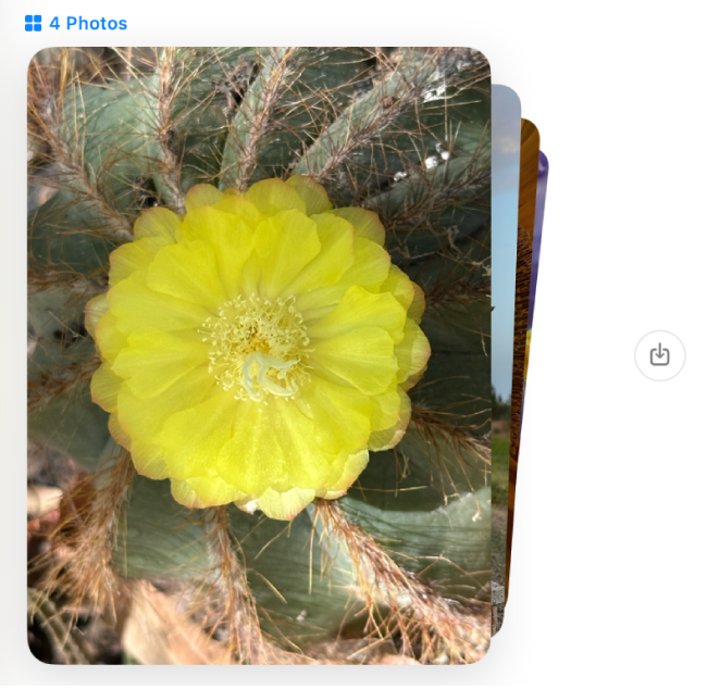 Une pile de six photos dans une conversation. Cliquez sur le bouton Enregistrer la photo à droite pour enregistrer les photos dans votre photothèque Photos.