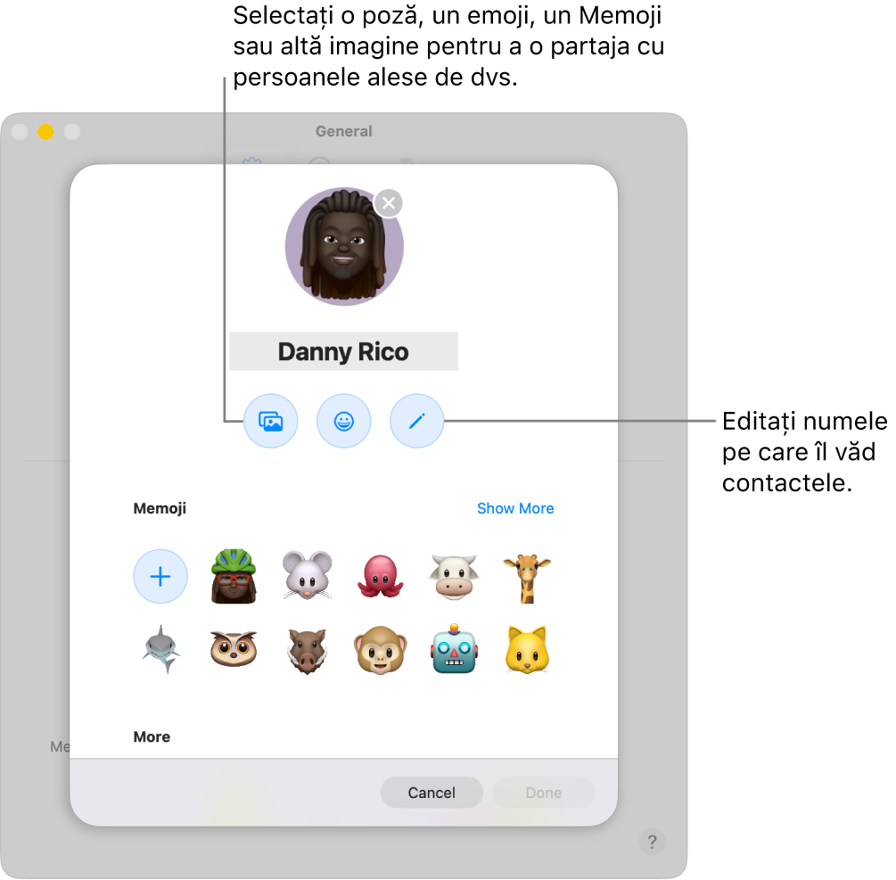 Fereastra de dialog Partajare nume și poză, afișând opțiuni pentru editarea numelui pe care îl văd contactele dvs. și pentru alegerea unei poze, unui emoji, unui Memoji sau altei imagini.