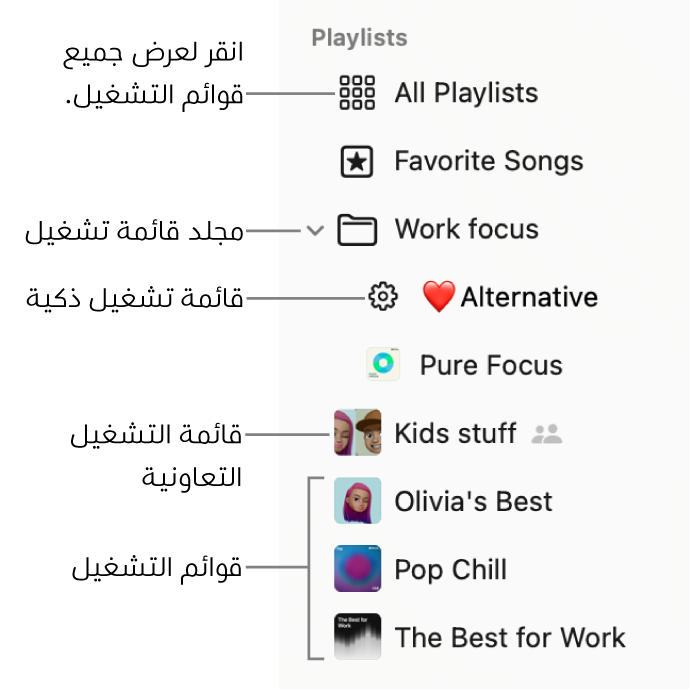 الشريط الجانبي للموسيقى يعرض مجلد قوائم التشغيل وأنواع قوائم التشغيل المختلفة: قائمة تشغيل الأغاني المفضلة وقائمة التشغيل الذكية وقائمة التشغيل التعاونية وقوائم التشغيل. انقر على كل قوائم التشغيل لعرضها كلها.