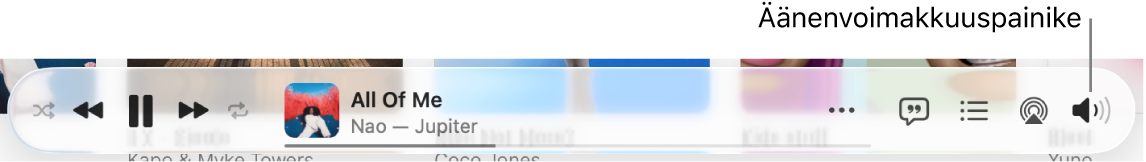 äänenvoimakkuuspainiketta