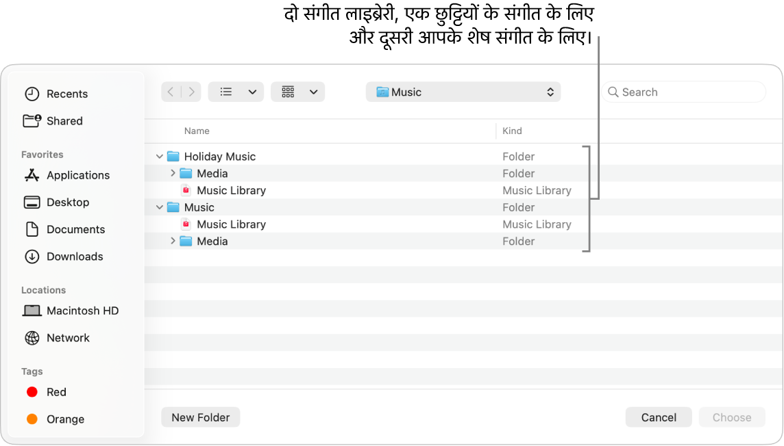 एकाधिक लाइब्रेरी दिखाती हुई Finder विंडो—एक छुट्टी में संगीत सुनने के लिए और दूसरा आपके बाक़ी संगीत के लिए।