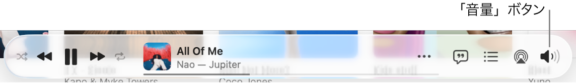 音量ボタン。