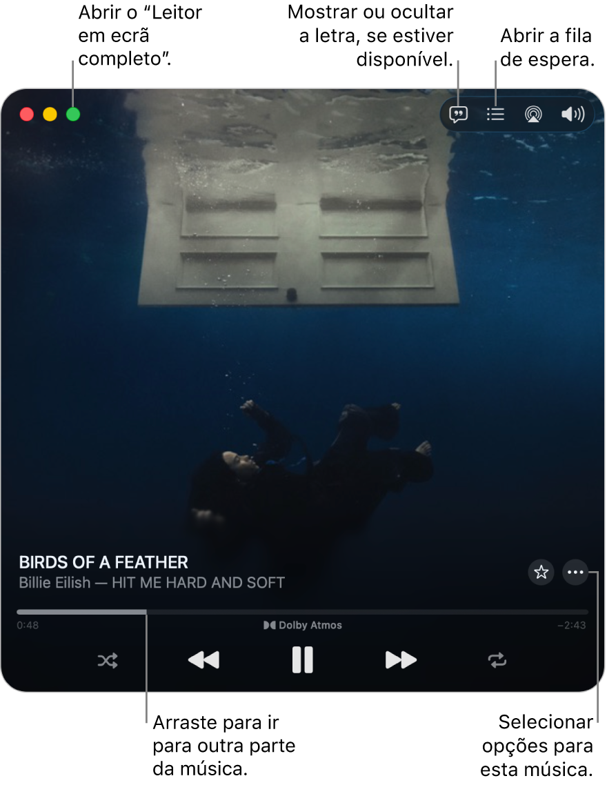 O mini-leitor expandido mostra os controlos relativos à música que está a ser reproduzida. No canto superior esquerdo encontram-se os controlos de janela, que servem para abrir e fechar o leitor em ecrã completo. A parte principal da janela mostra o grafismo do álbum para a música que está a ser reproduzida. Por baixo do grafismo encontra‑se um nivelador para ir para outra parte da música e os botões para ajustar o volume, mostrar a letra e abrir a fila de espera.