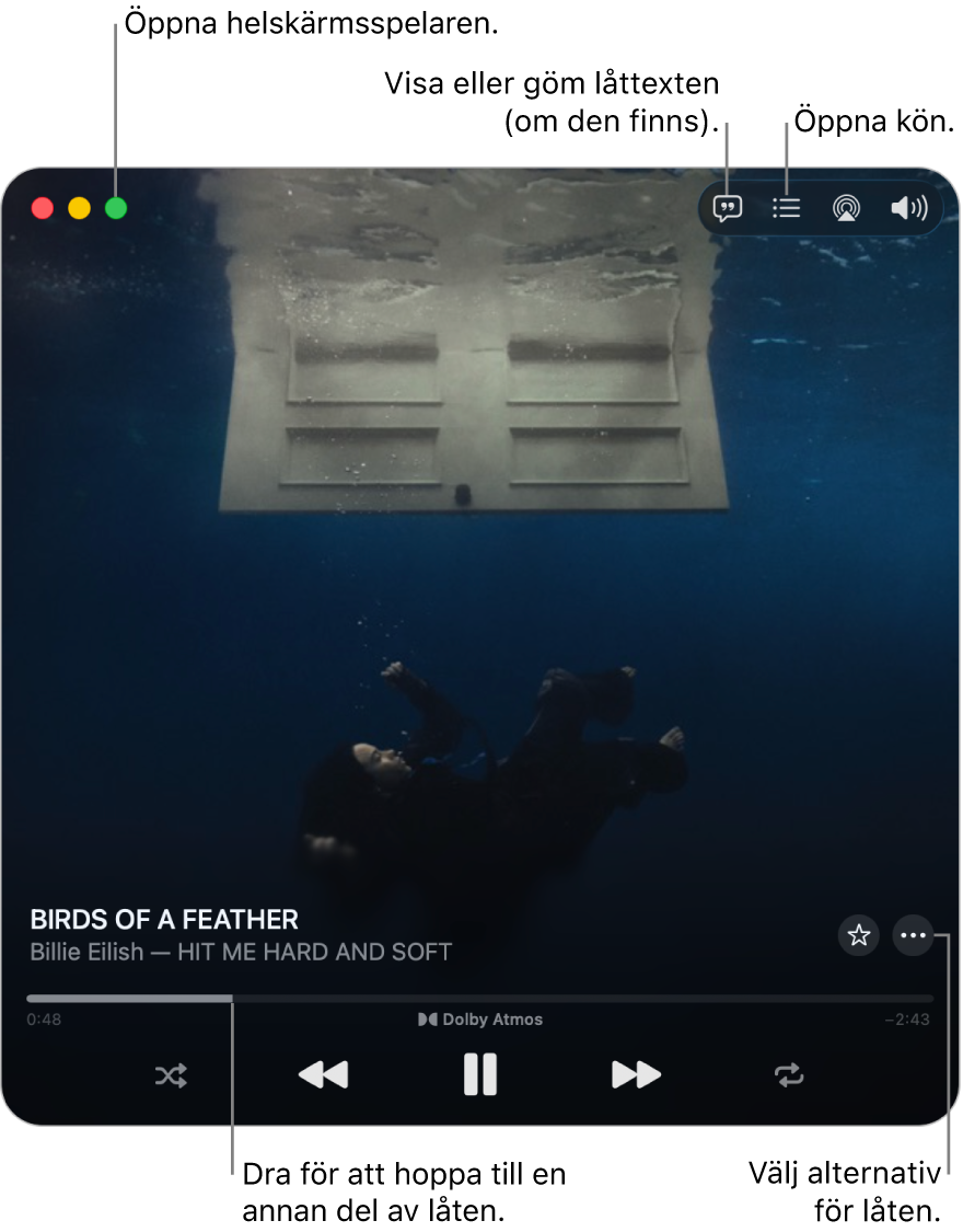Den expanderade minispelaren som visar reglage för låten som spelas. I det övre vänstra hörnet finns fönsterreglagen som du använder till att öppna och stänga spelaren i helskärmsläge. Huvuddelen av fönstret visar bildmaterial för den låt som spelas. Nedanför bildmaterialet finns ett reglage för att flytta till en annan del av låten och knappar för att justera volymen, visa låttexten och öppna kön.