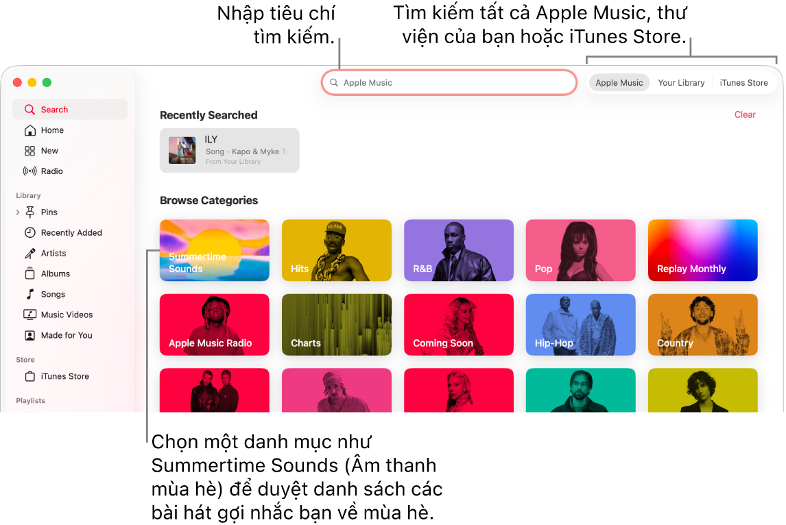 Cửa sổ Apple Music đang hiển thị các trường tìm kiếm, danh sách các danh mục ở giữa cửa sổ. Apple Music, Thư viện của bạn và iTunes Store có sẵn ở góc trên cùng bên phải. Nhập tiêu chí tìm kiếm vào trường tìm kiếm, sau đó chọn tìm kiếm tất cả Apple Music, chỉ thư viện của bạn hoặc iTunes Store.