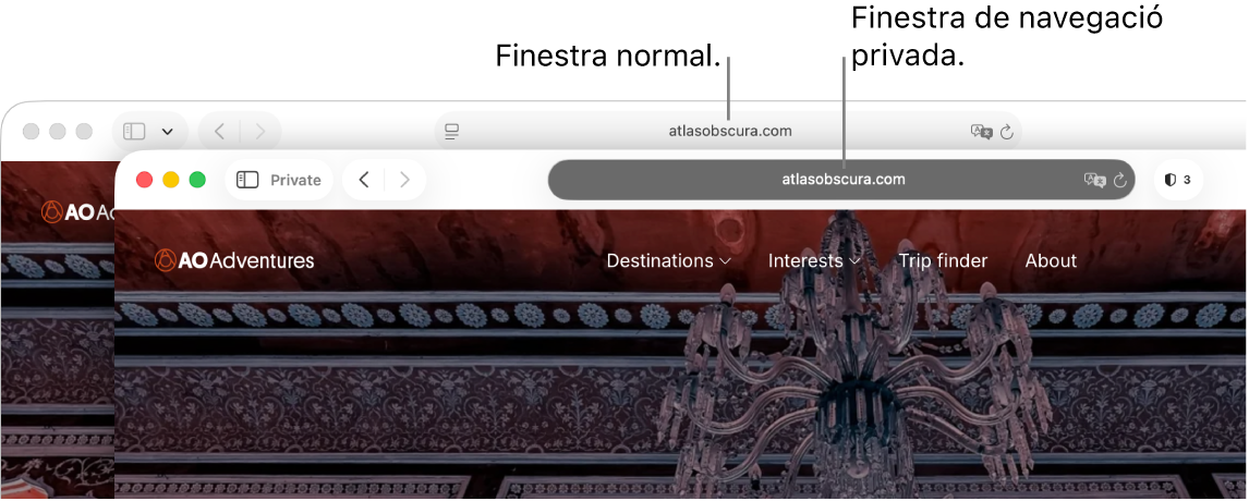 Una finestra privada del Safari amb el camp de cerca intel·ligent fosc, i una finestra normal del Safari amb el camp de cerca intel·ligent clar.