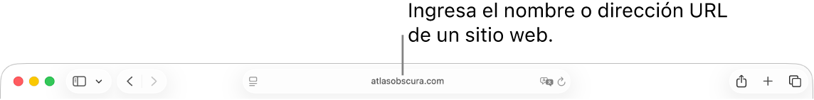 El campo de búsqueda inteligente de Safari, en donde puedes ingresar el nombre o la URL de un sitio web.