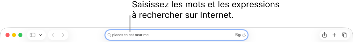 Le champ de recherche intelligente de Safari, dans lequel vous pouvez saisir des mots et expressions à rechercher sur Internet.