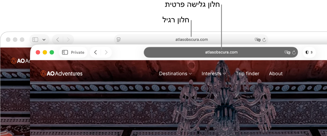 חלון Safari פרטי רגיל עם שדה ״חיפוש חכם״ כהה, וחלון Safari רגיל, עם שדה ״חיפוש חכם״ בהיר.