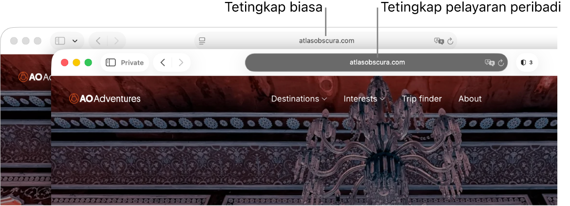 Tetingkap Safari peribadi dengan medan Carian Pintarnya yang gelap dan tetingkap Safari biasa dengan medan Carian Pintarnya yang cerah.