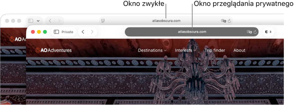 Prywatne okno Safari z ciemnym inteligentnym polem wyszukiwania oraz zwykłe okno Safari z jasnym inteligentnym polem wyszukiwania.