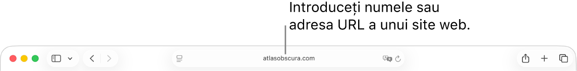 Câmpul de căutare inteligentă situat în mijlocul barei de instrumente Safari.