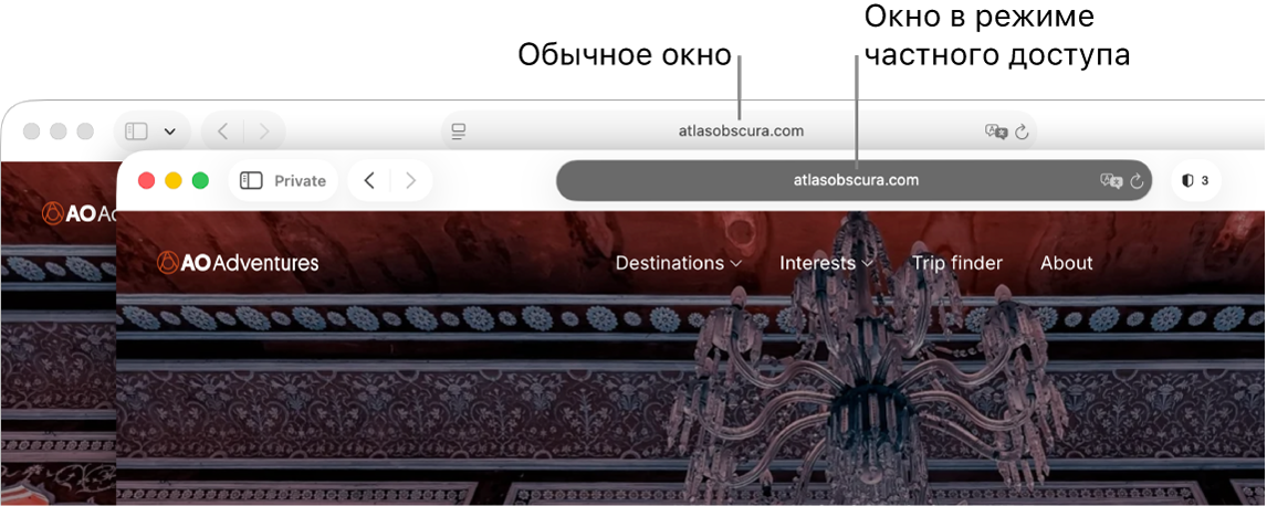 Частное окно Safari с темным полем смарт-поиска и обычное окно Safari со светлым полем смарт-поиска.