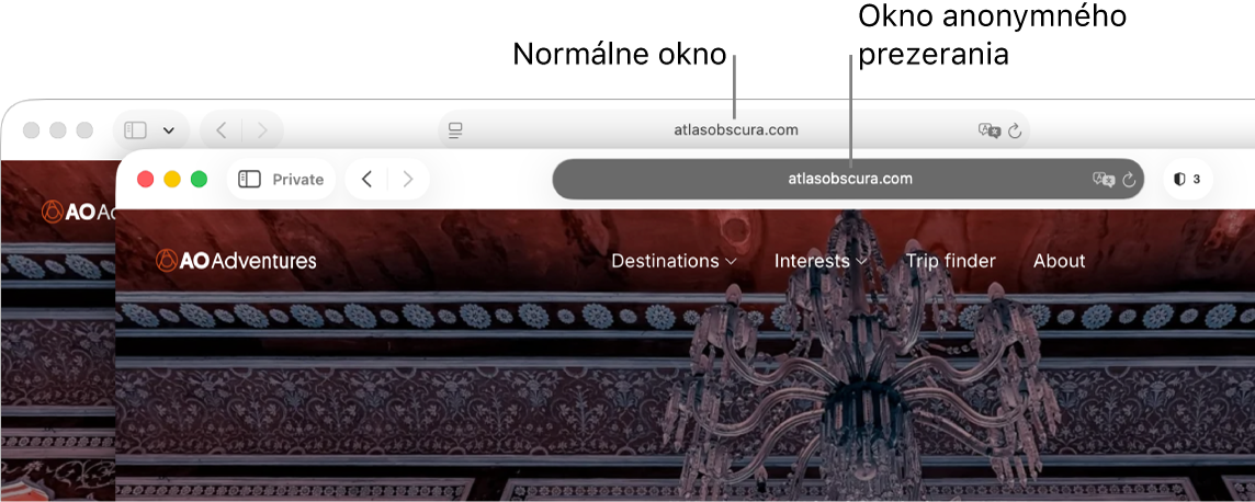 Anonymné okno v Safari s tmavým poľom dynamického vyhľadávania a normálne okno v Safari so svetlým poľom dynamického vyhľadávania.