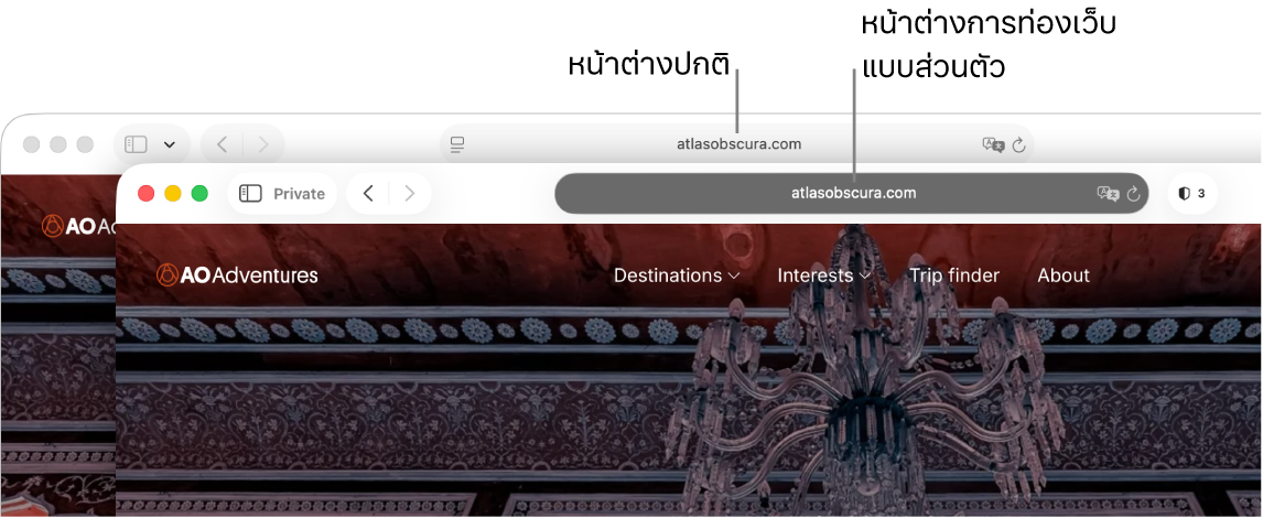 หน้าต่าง Safari แบบส่วนตัวที่มีช่องค้นหาอัจฉริยะสีเข้ม และหน้าต่าง Safari แบบปกติที่มีช่องค้นหาอัจฉริยะสีอ่อน