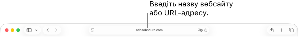 Поле динамічного пошуку браузера Safari, у якому вводиться назва або URL-адреса вебсайту.