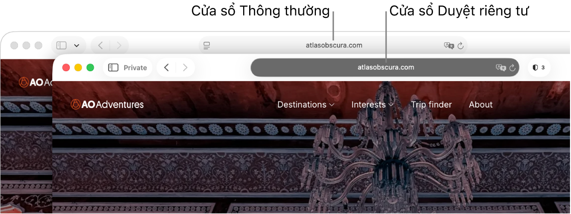 Cửa sổ Safari riêng tư có trường Tìm kiếm thông minh tối màu và cửa sổ Safari bình thường có trường Tìm kiếm thông minh sáng màu.