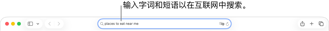 Safari 浏览器智能搜索栏，可在此输入字词和短语以在互联网上搜索。