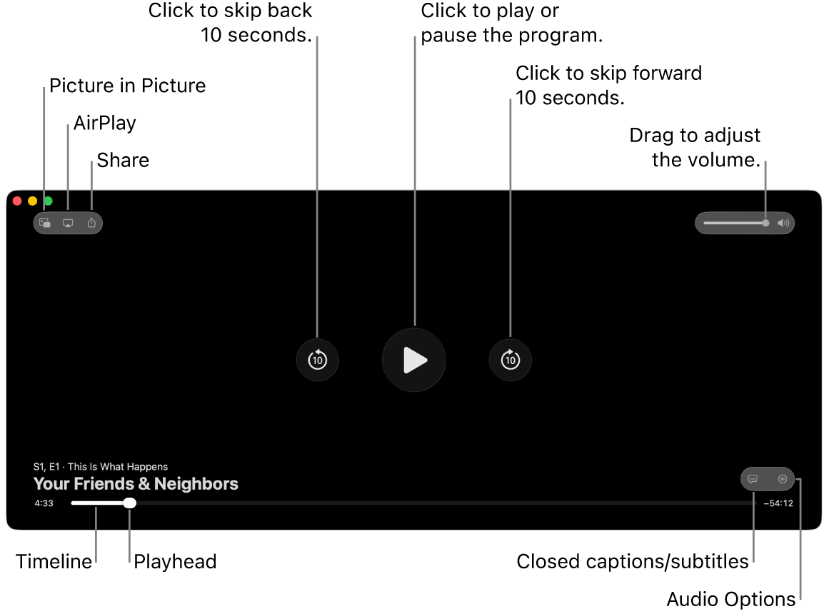 Playback controls in the viewer, including buttons to play or pause, skip forward or backward, and adjust volume.