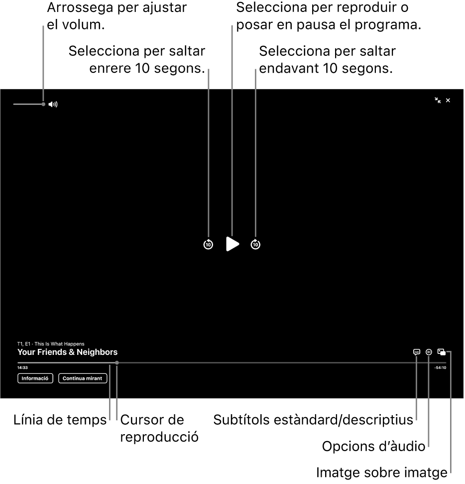 Els controls de reproducció al visor, entre els quals s’inclouen botons per reproduir o posar en pausa, avançar o retrocedir, i ajustar el volum.
