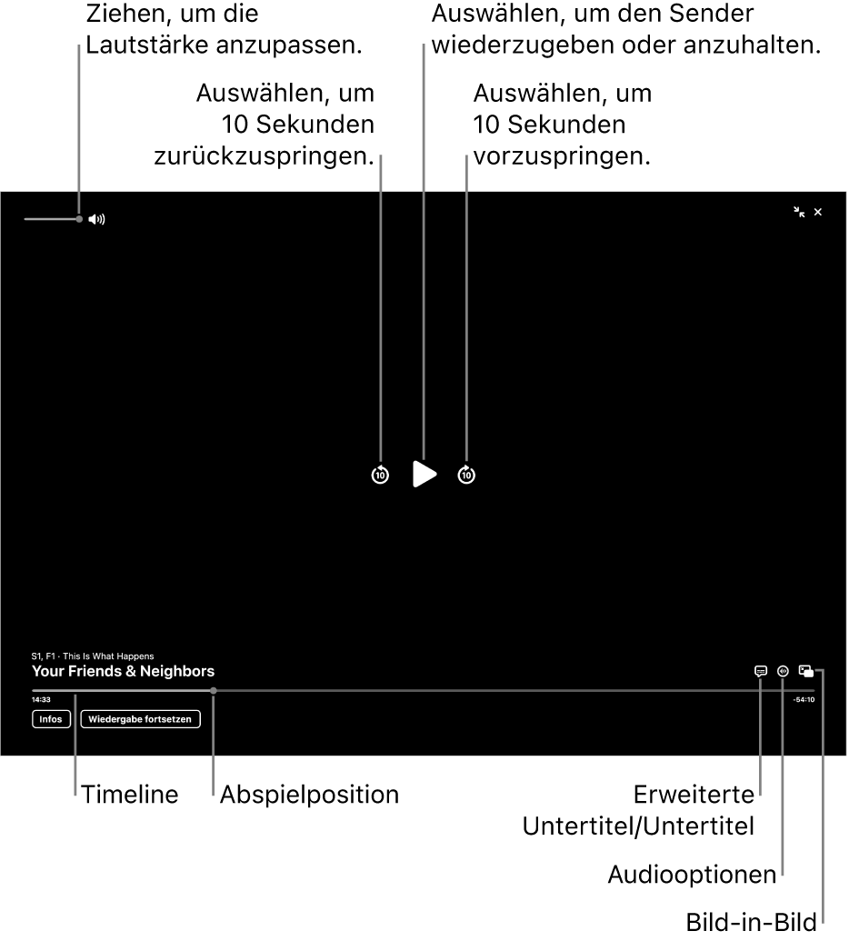 Die Wiedergabesteuerungen im Viewer, einschließlich der Tasten zum Abspielen oder Anhalten, zum Vor- und Zurückspringen und zum Einstellen der Lautstärke.