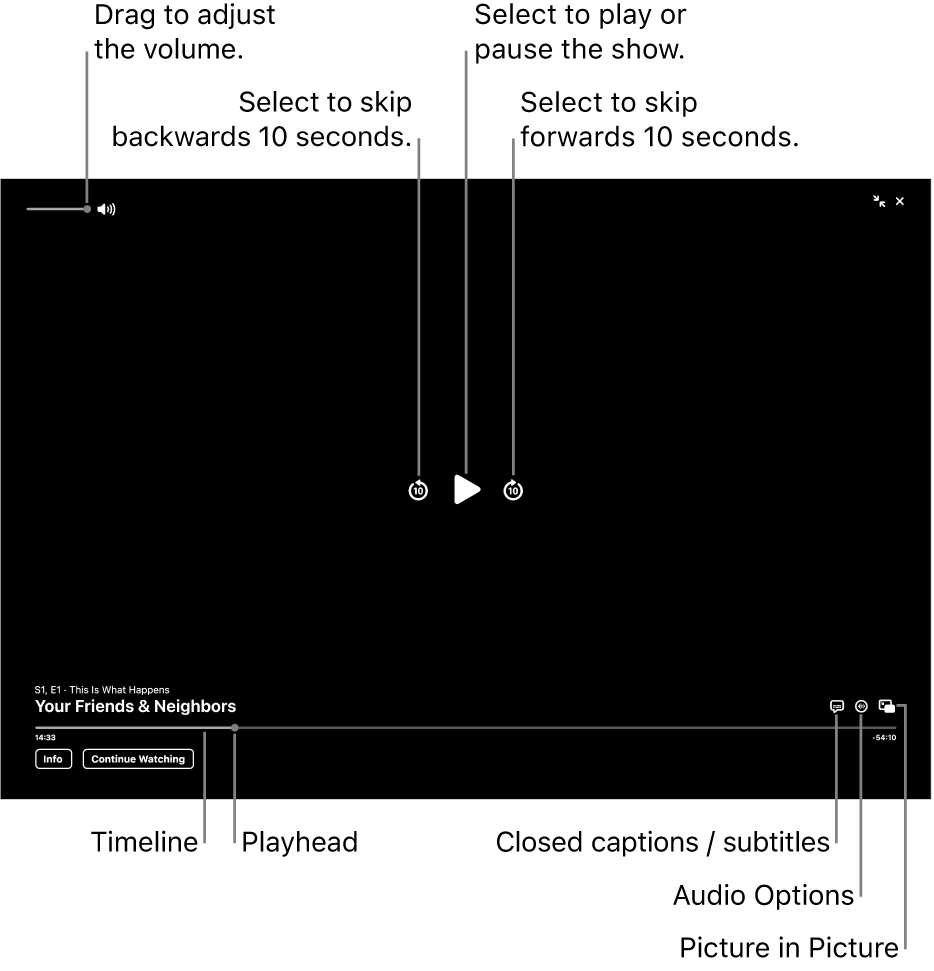Playback controls in the viewer, including buttons to play or pause, skip forwards or backwards, and adjust volume.