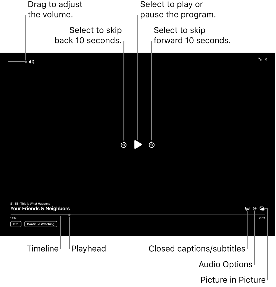 Playback controls in the viewer, including buttons to play or pause, skip forward or backward, and adjust volume.