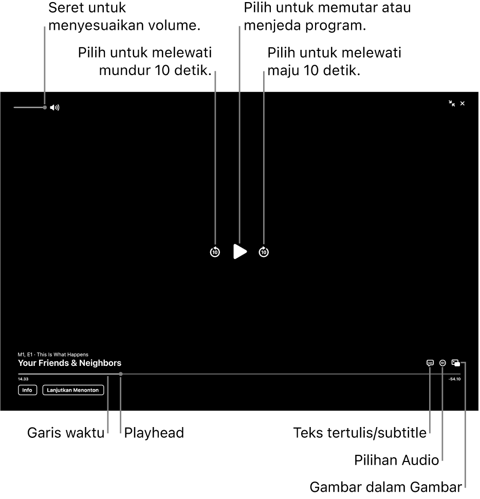 Kontrol pemutaran di penampil, termasuk tombol untuk memutar menjeda, melewati maju atau mundur, dan menyesuaikan volume.