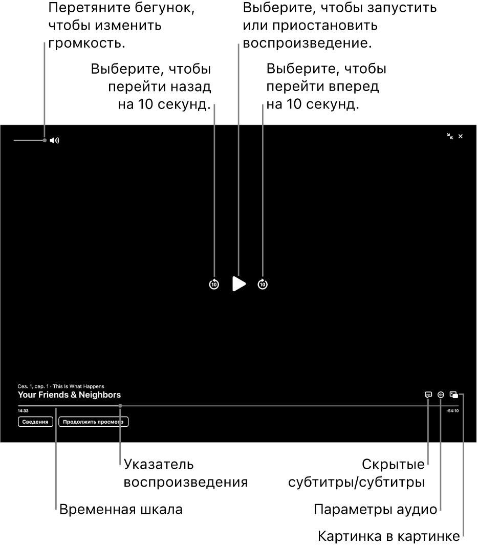Элементы управления воспроизведением в окне просмотра, в том числе кнопки воспроизведения, паузы, перемотки вперед и назад, а также настройки громкости.