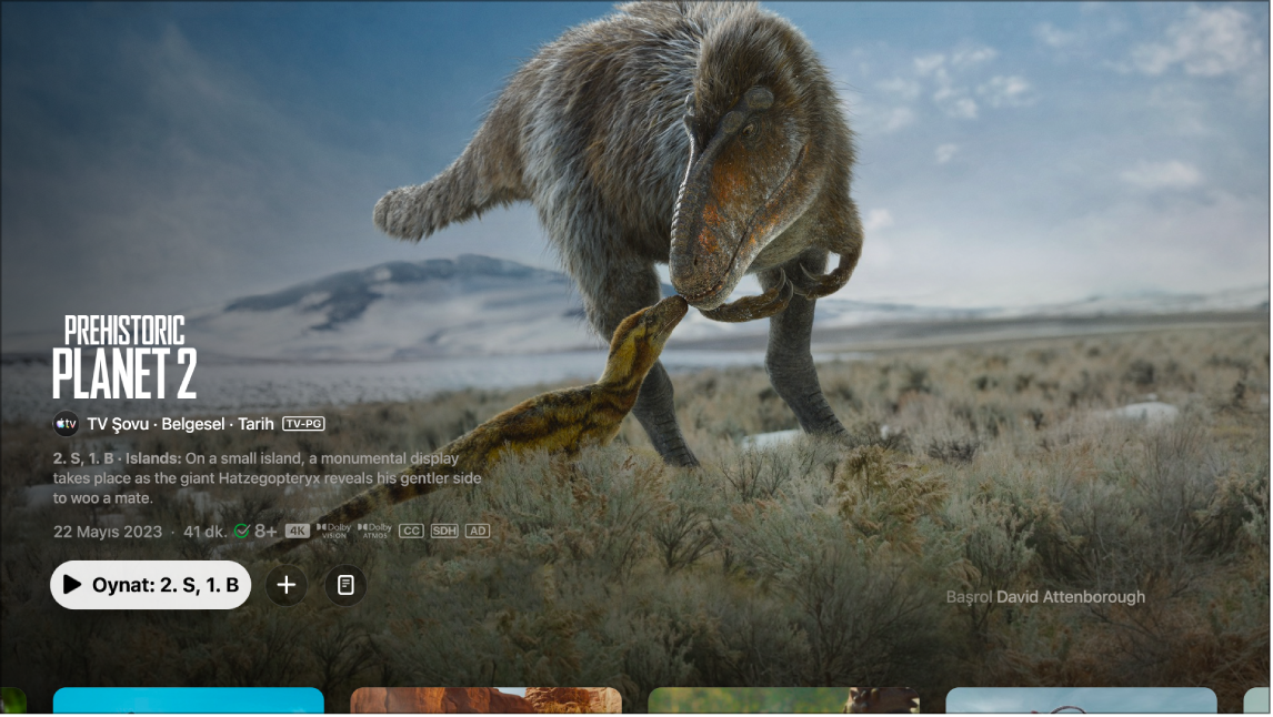 TV şovu bilgisi ekranı