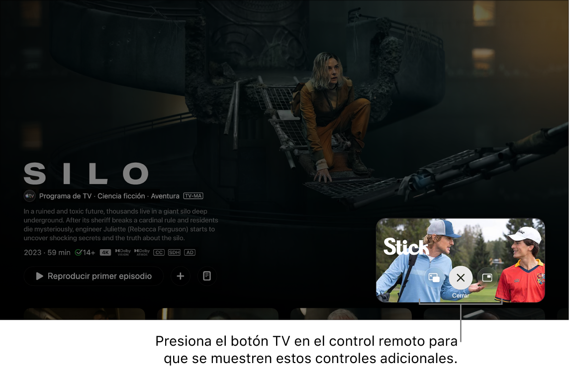 Controles adicionales de Imagen dentro de otra