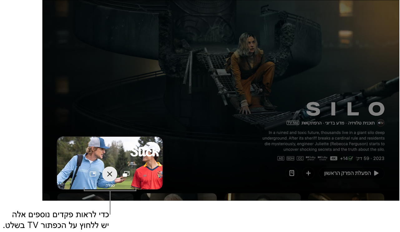 פקדי ״תמונה בתוך תמונה״ נוספים