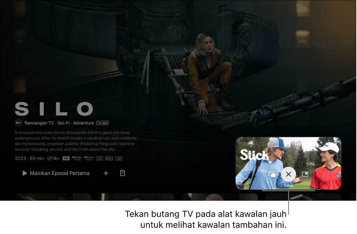 Kawalan Gambar dalam Gambar tambahan