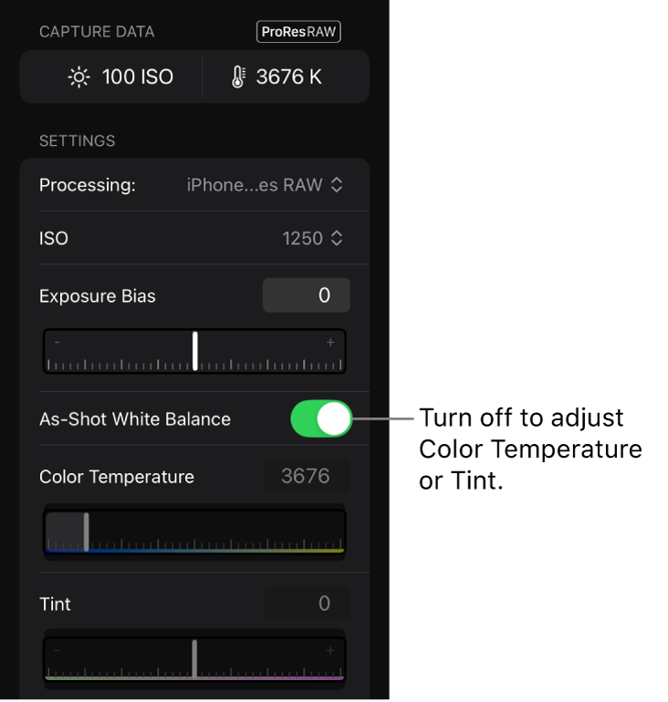 Das Informationsfenster mit den Kameraeinstellungen für ProRes RAW-Videos, die auf dem iPhone aufgenommen wurden, einschließlich ISO, Belichtungskorrektur, Weißabgleich wie Aufnahme, Farbtemperatur und Farbton.