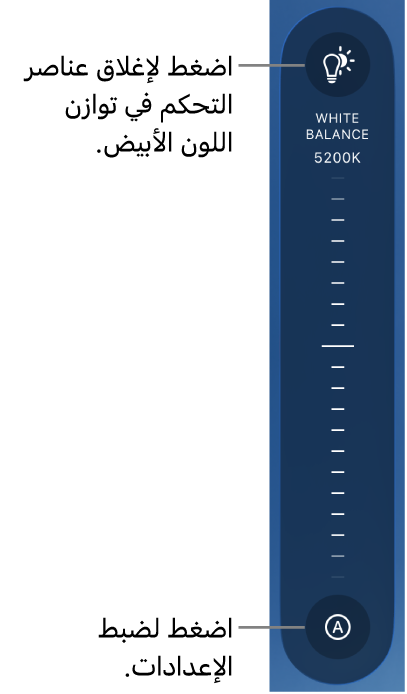 قرص توازن اللون الأبيض، مع زر تلقائي في الأسفل.