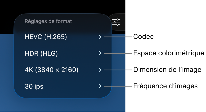 Menu « Réglages de format » affichant, du haut vers le bas, les réglages de codec, d’espace colorimétrique, de taille d’image et de fréquence d’images.