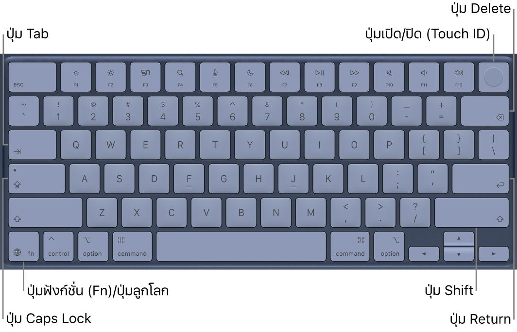 แป้นพิมพ์แสดงปุ่ม Touch ID ที่มุมขวาบนสุด ปุ่มฟังก์ชั่นที่มุมซ้ายล่าง และปุ่ม Tab, Caps Lock, Shift, Delete และ Return