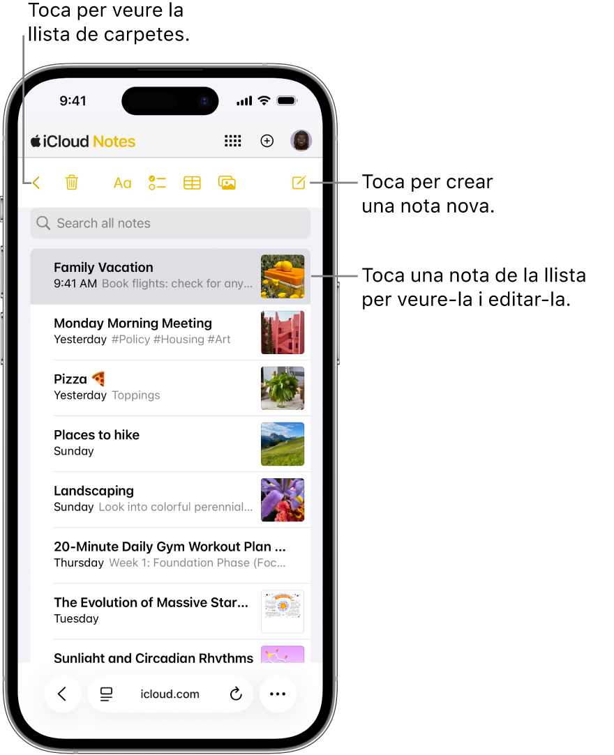 Una llista de notes oberta a iCloud.com en un telèfon.