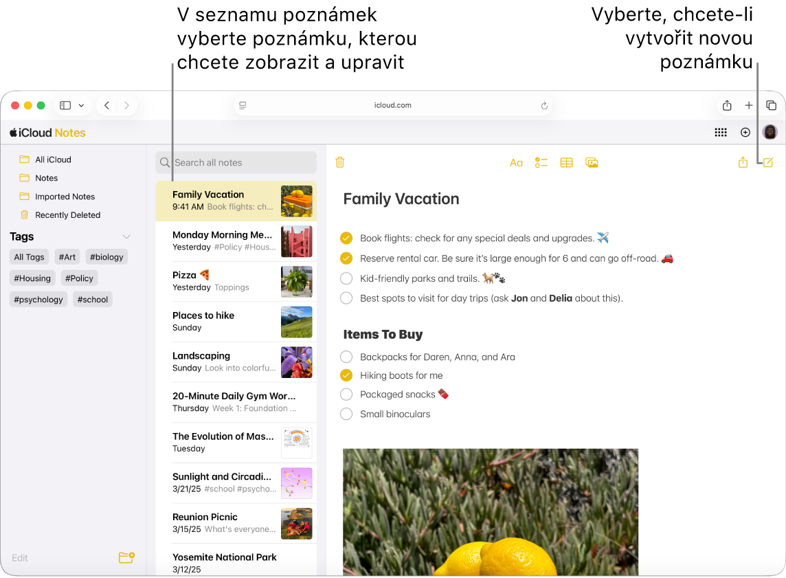 Poznámka otevřená na webu iCloud.com; několik poznámek zobrazených na bočním panelu a otevřená poznámka napravo od bočního panelu.