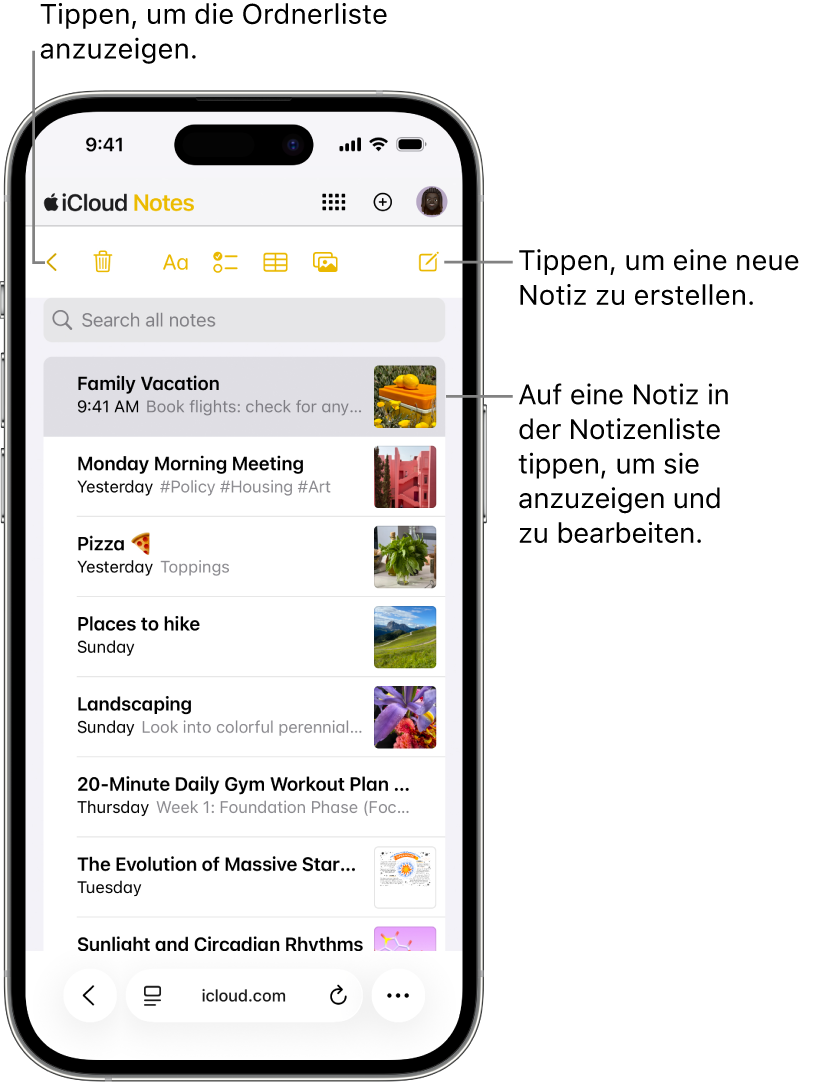 Eine offene Notizenliste auf iCloud.com auf einem Telefon.
