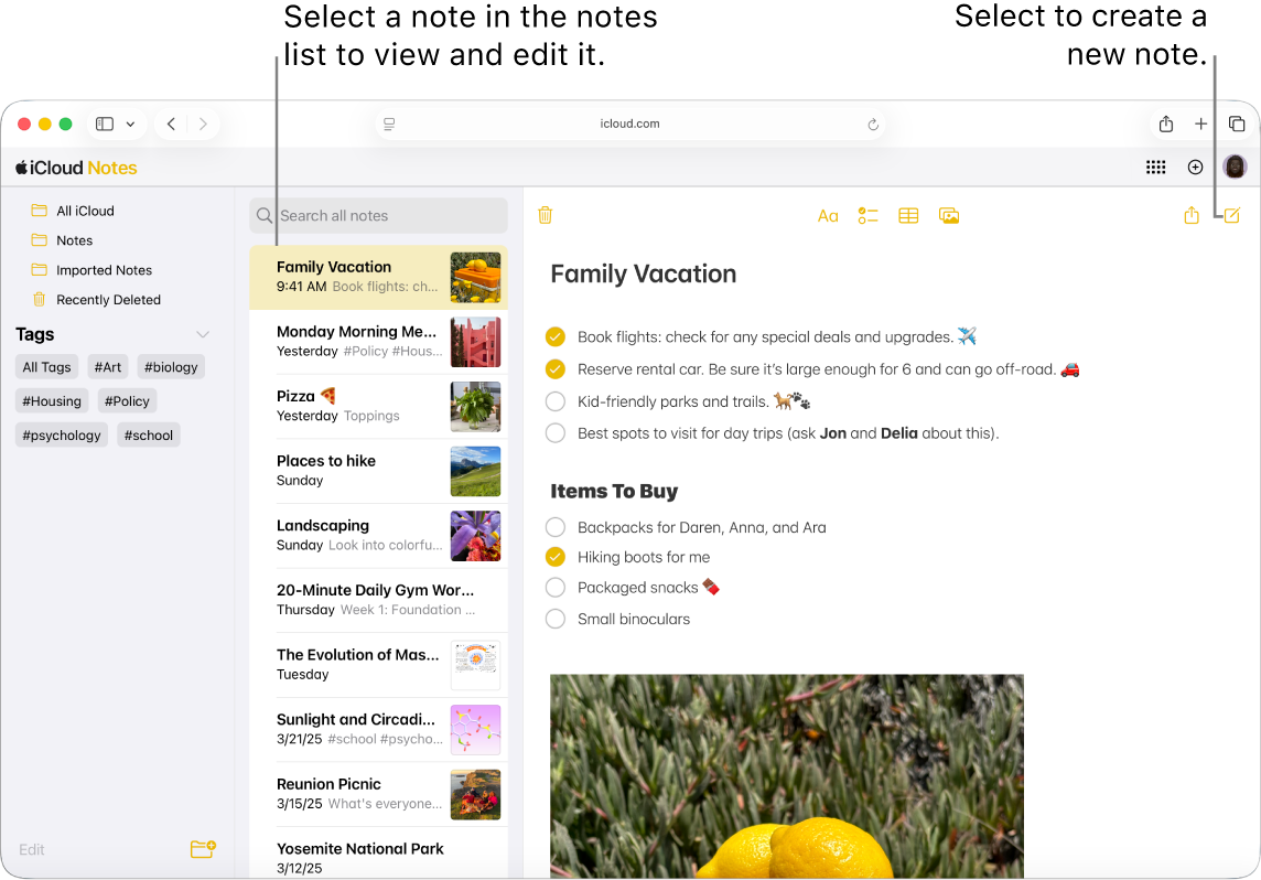 An open note on iCloud.com, with several notes appearing in a sidebar, and an open note to the right of the sidebar.