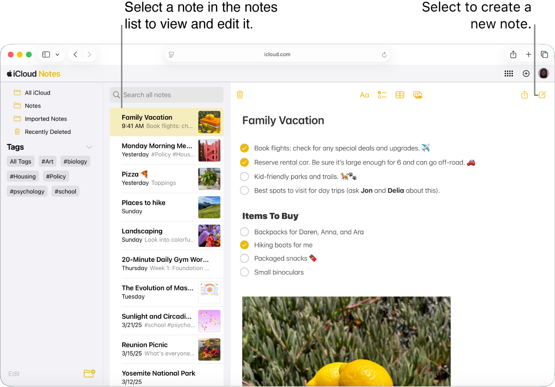 An open note on iCloud.com, with several notes appearing in a sidebar, and an open note to the right of the sidebar.