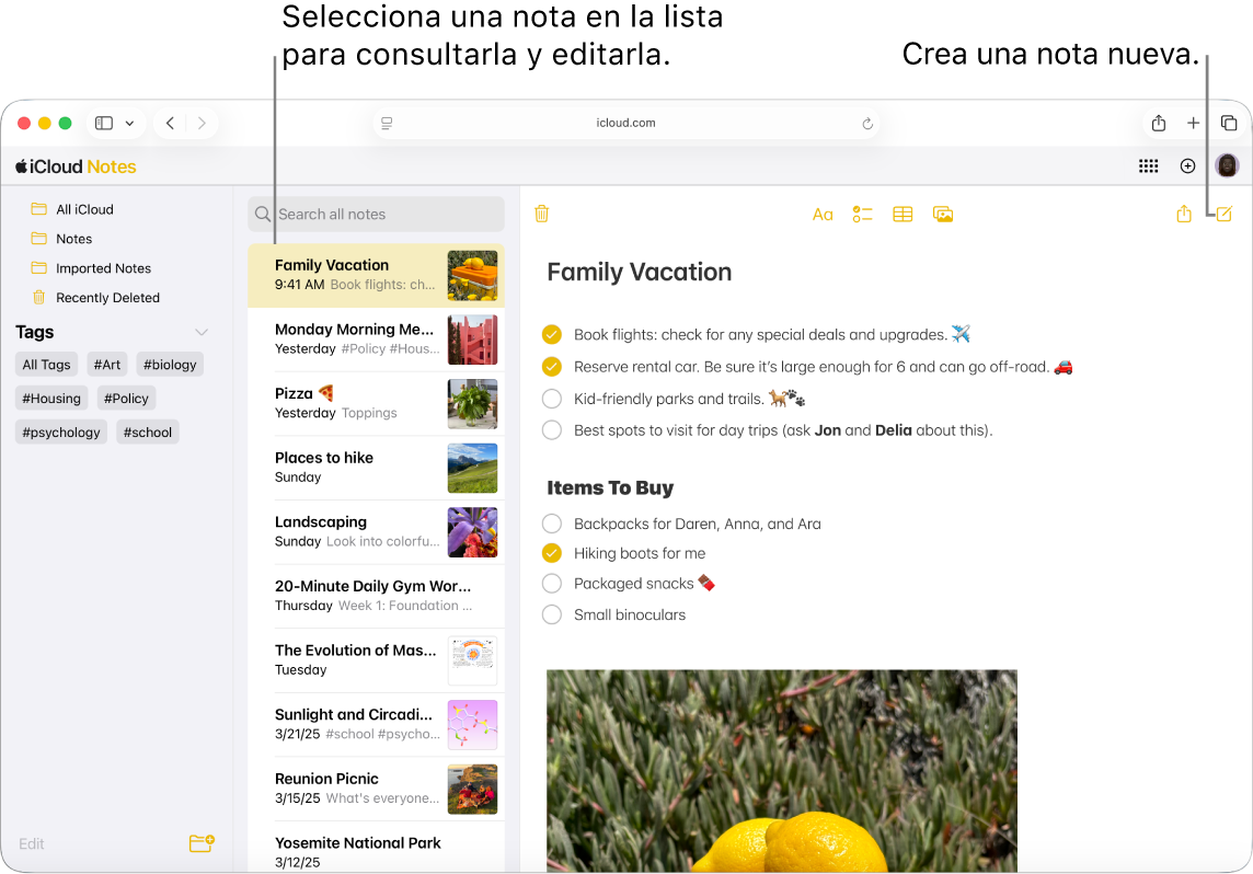 Una nota abierta en iCloud.com, con varias notas que aparecen en una barra lateral y una nota abierta a la derecha de la barra lateral.
