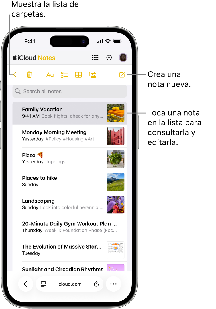 Una lista de notas abierta en iCloud.com en un teléfono.