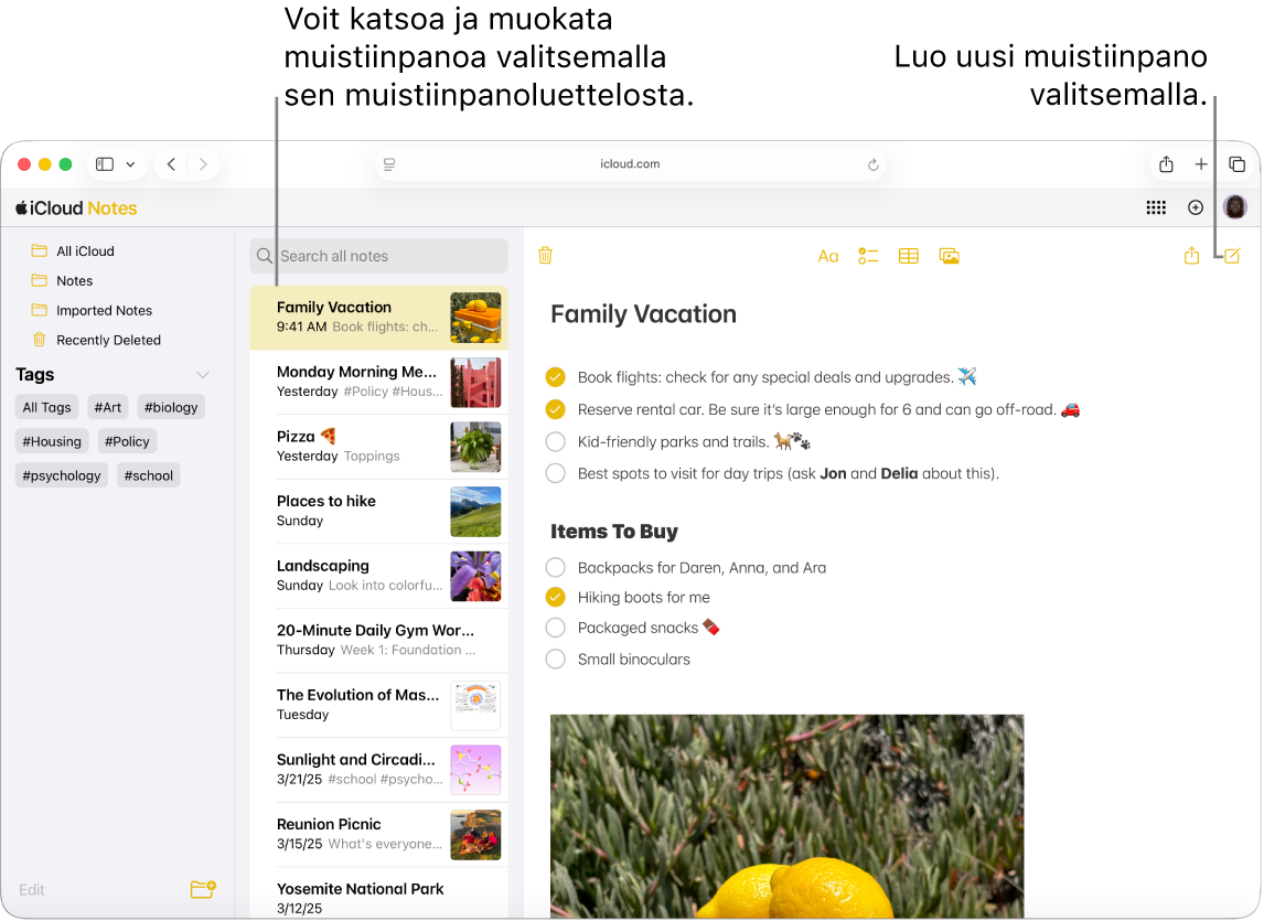 Kuvassa on auki oleva muistiinpano iCloud.comissa, sivupalkissa näkyy useita muistiinpanoja ja sivupalkin oikealla puolella näkyy avoin muistiinpano.