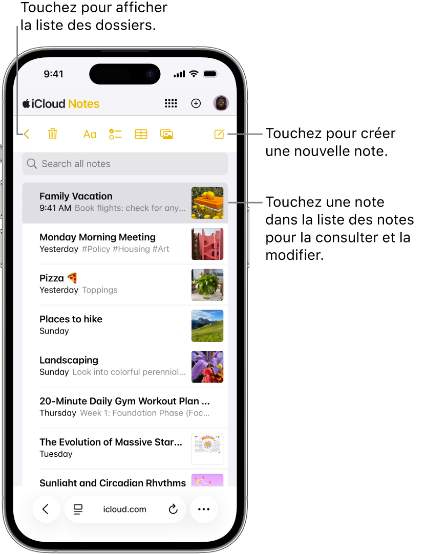 Une liste de notes ouvertes sur iCloud.com sur un téléphone.