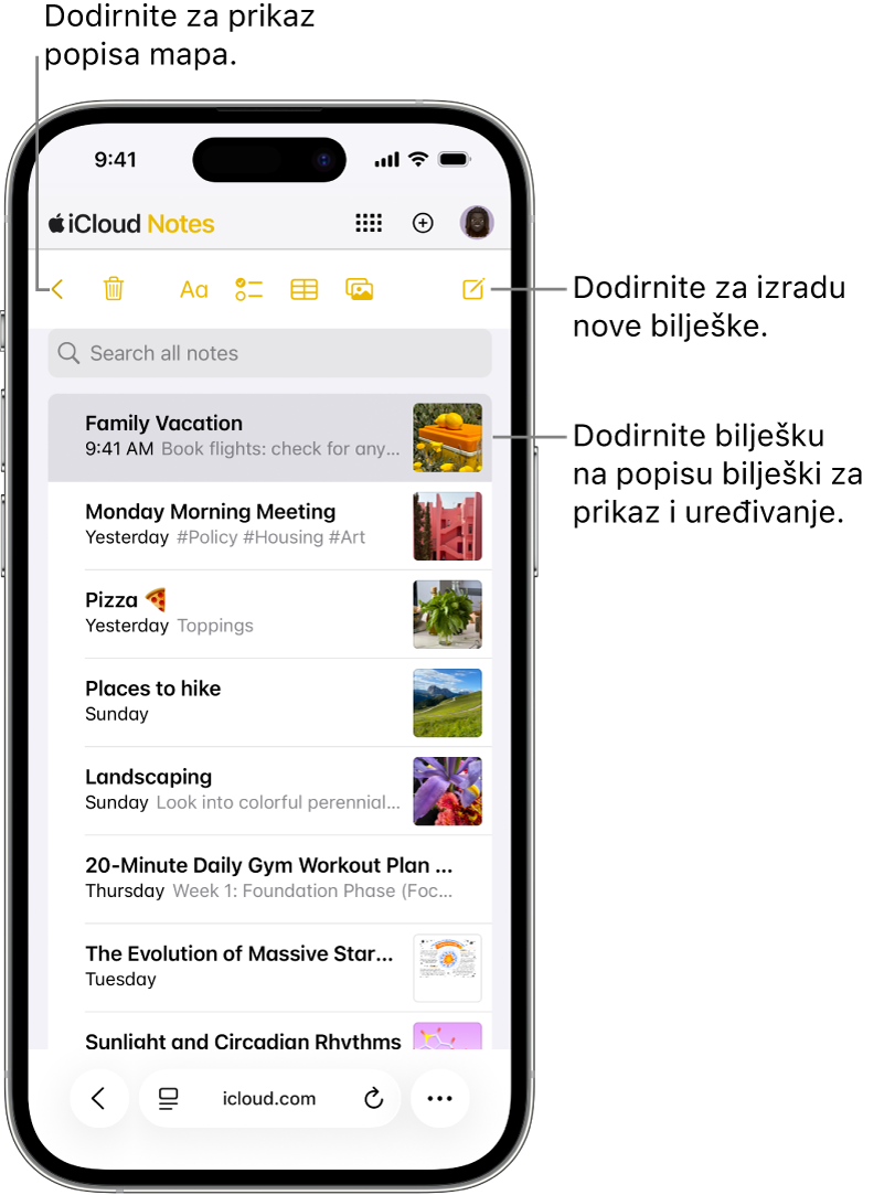 Popis s otvorenim bilješkama na web-mjestu iCloud.com na telefonu.