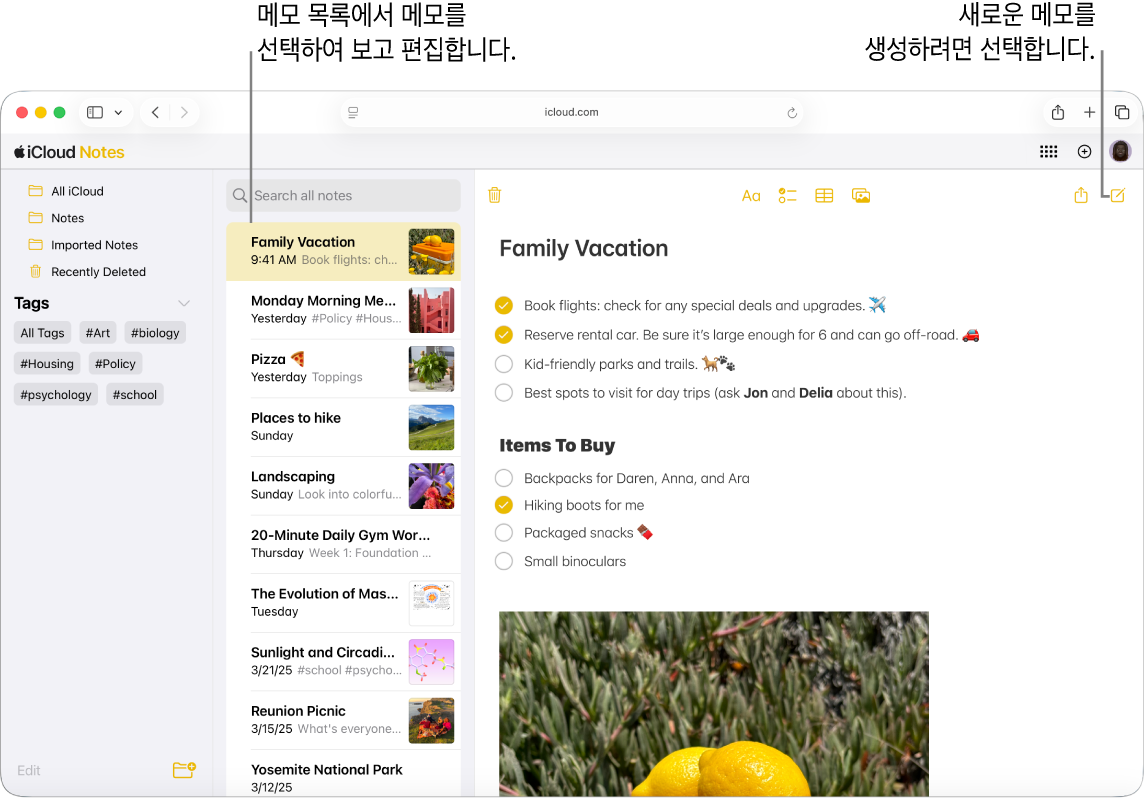 iCloud.com에 열려 있는 메모와 함께 사이드바의 여러 메모, 그리고 사이드바 오른쪽에 열려 있는 메모가 표시되어 있습니다.