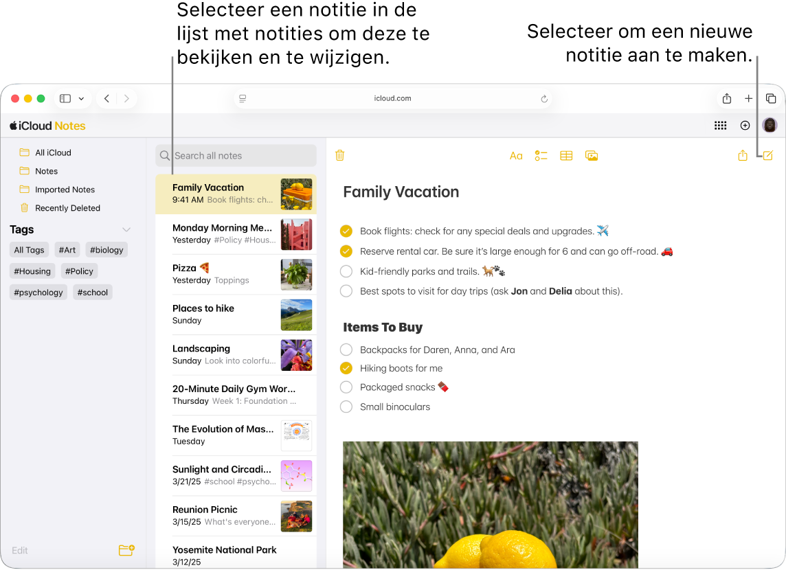 Een geopende notitie op iCloud.com, met meerdere notities weergegeven in een navigatiekolom en een geopende notitie rechts van de navigatiekolom.