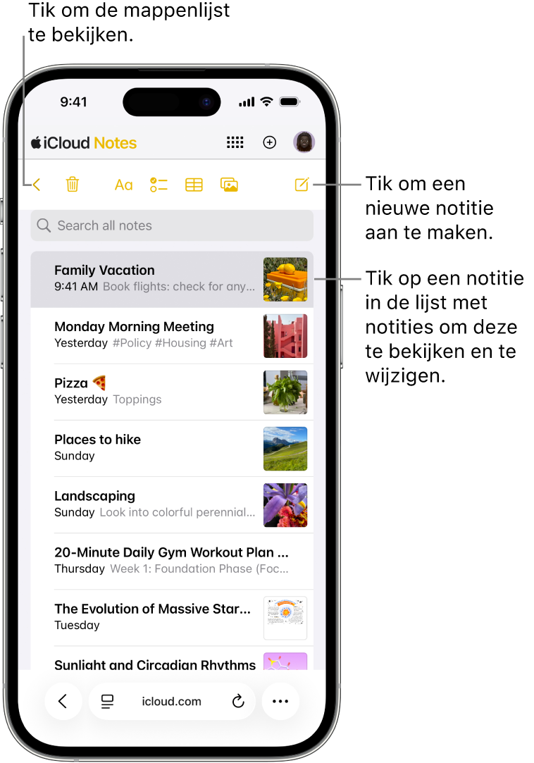 Een open notitielijst op iCloud.com op een telefoon.